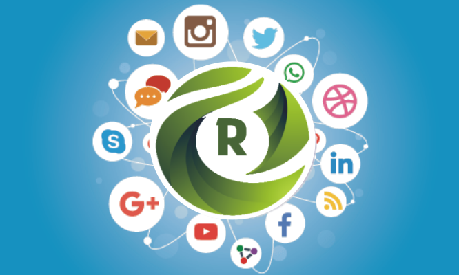 RIS Digital Marketing Solution
